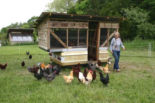 Cathy with girls