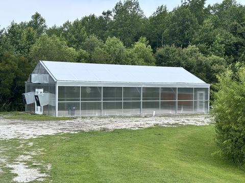 Greenhouse