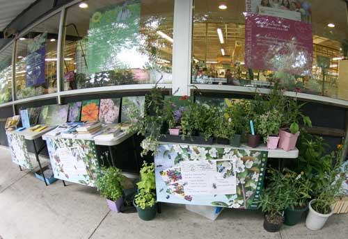 pollinator garden demo
