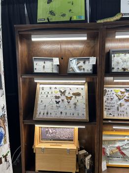 state fair insect collection displays
