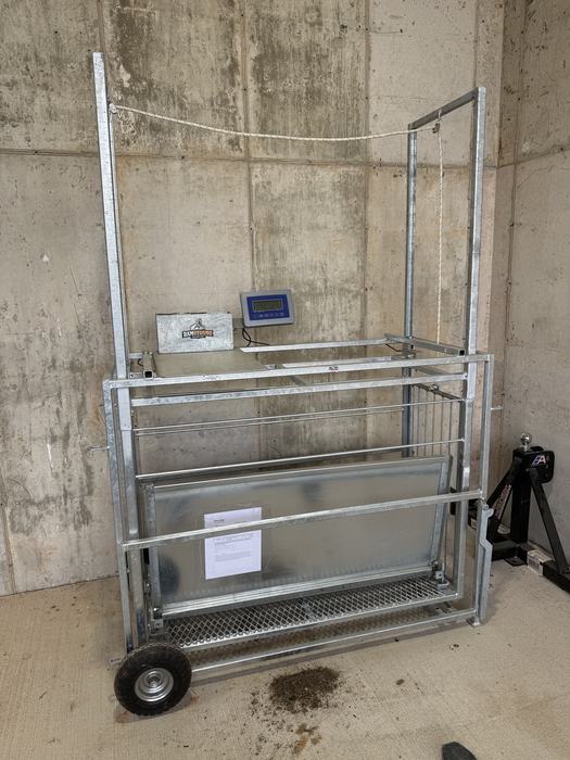 A galvanized metal livestock scale and crate for small animals (like sheep or goats) is shown against a concrete wall.
