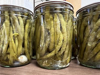 Jars of pickled green beans.