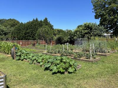 community garden beds