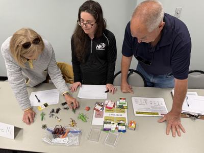 master gardener class attendees learning about insects
