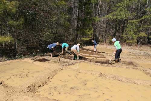 Five people digging and shaping long rectangular planting beds in sandy soil