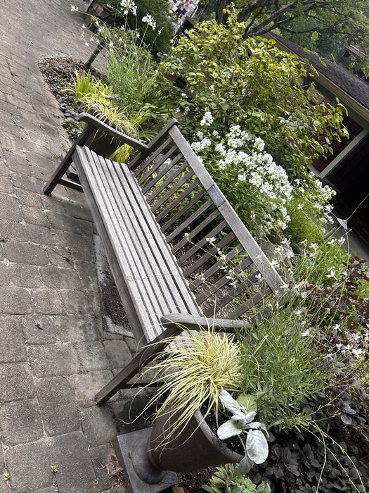 containers with plants and a garden bench