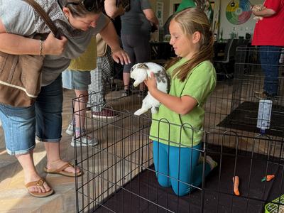 Inside a classroom, a young girl in a green shirt kneels inside a small wire pen and holds a spotted rabbit. A woman leans over the pen to look at the rabbit while other visitors stand nearby.