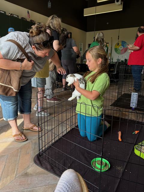 Inside a classroom, a young girl in a green shirt kneels inside a small wire pen and holds a spotted rabbit. A woman leans over the pen to look at the rabbit while other visitors stand nearby.