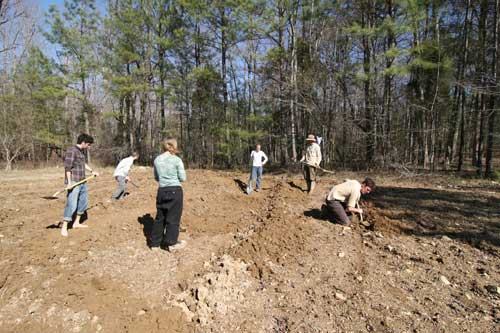 Six people digging and turning soil in a plowed field near a tree line