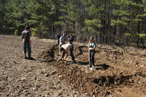 Group of people digging a long trench in a field at the edge of a forest