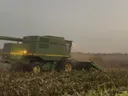 Corn Harvest
