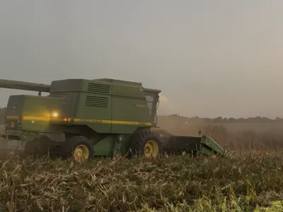 Corn Harvest