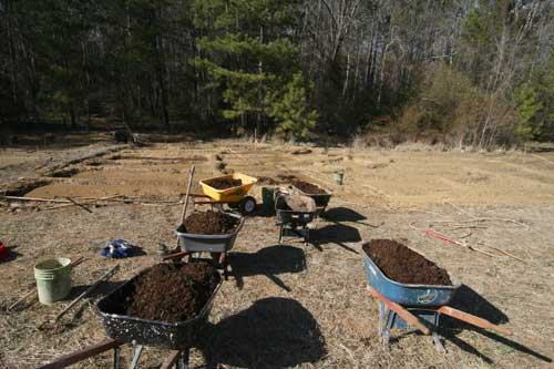 Multiple wheelbarrows filled with soil on a cleared field with gardening tools nearby
