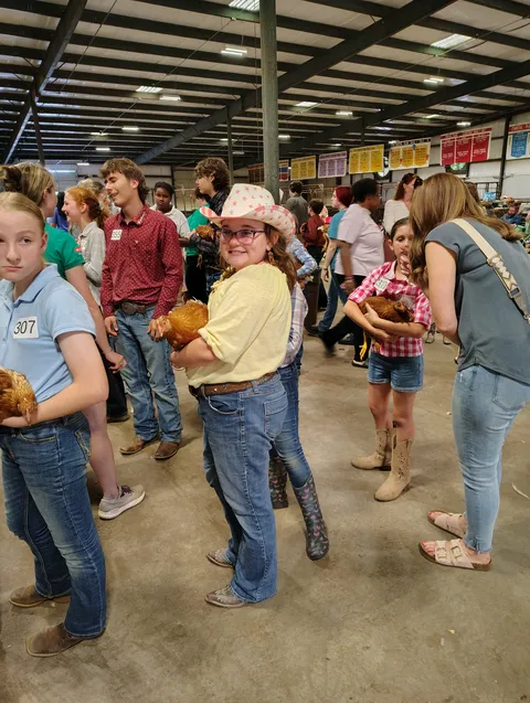 girl in yellow shirt with chicken