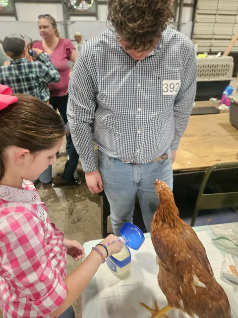 girl and boy showing chicken