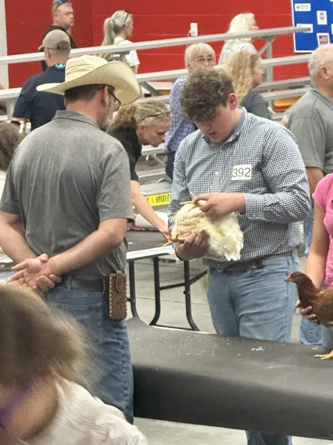 boy showing chicken