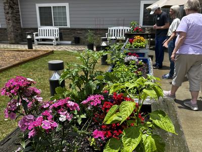 Flower garden at the nursing home
