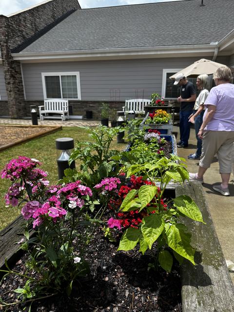 Flower garden at the nursing home