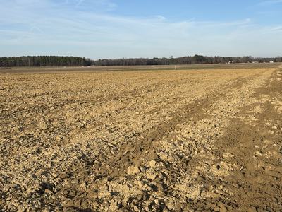 Field recently tilled with moldboard plow