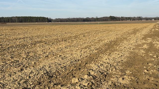 Field recently tilled with moldboard plow