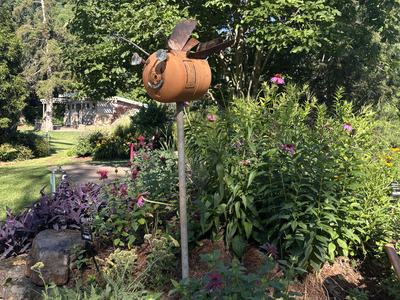Queenie, the pollinator, buzzes by yarrow in the demonstration garden at Freedom Park.