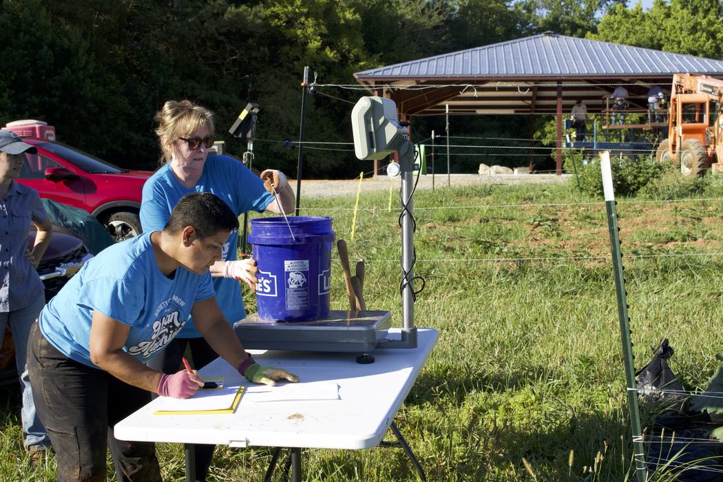 Volunteers record and weigh freshly harvested potatoes at a collection site before the produce is distributed to local hunger relief organizations.