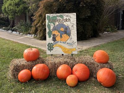 a picture of pumpkins grown by Pumpkin Patch Kids