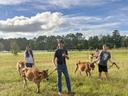 4-H kids with their dairy heifers preparing for the project.