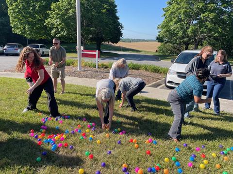Educators gathering balls as part of a plant nutrient competition activity