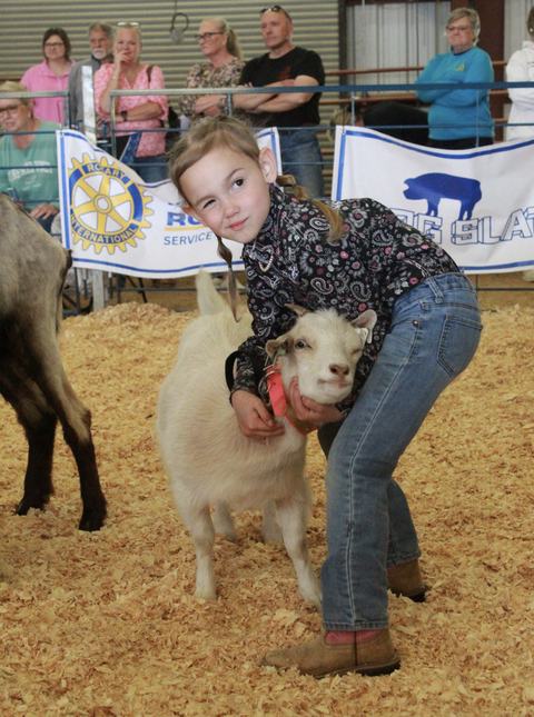 One cloverbud 4-H member winking while hugging her goat