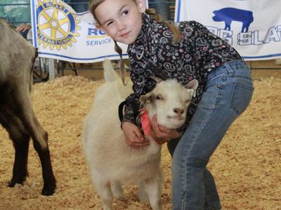One cloverbud 4-H member winking while hugging her goat