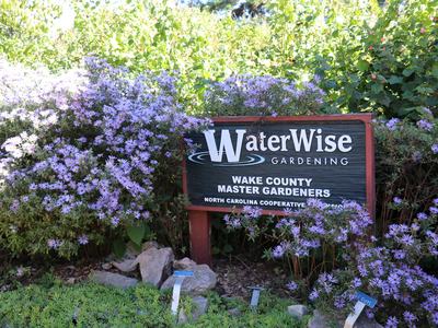 A sign that reads, 'WaterWise Gardening, Wake County Master Gardeners, North Carolina Cooperative Extension' surrounded by a large New England Aster.