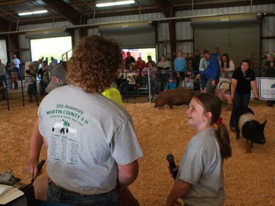 Photo of our Senior and Junior Hog Showman judging our alumni class of market hogs at the 2026 livestock show
