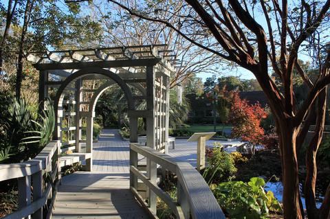 Wooden pergola walkway in a botanical garden surrounded by foliage and a water feature.