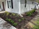 Planting by Extension staff and Master Gardener volunteers