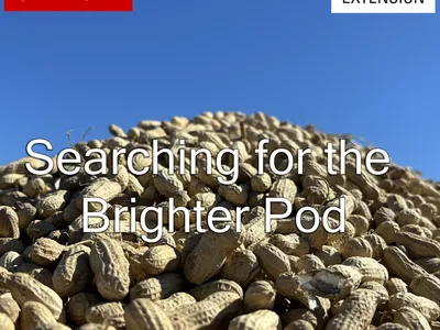Logo image for Searching for the Brighter Pod Podcast