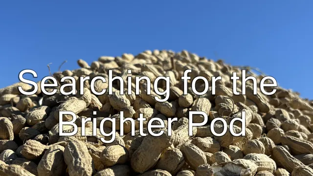 Logo image for Searching for the Brighter Pod Podcast