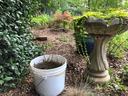 Bucket with straw, leaves, and water in backyard