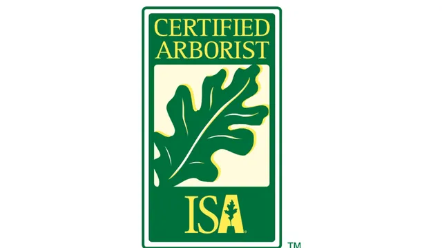 ISA.Logo