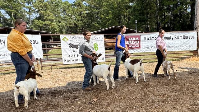 4-H youth showing goats at the Richmond County livestock show