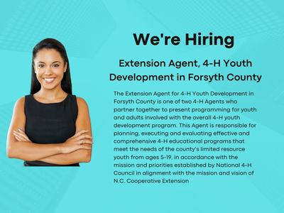 Young woman smiling with her hands crossed in front of her, with text We're Hiring, along with a brief description of the job.