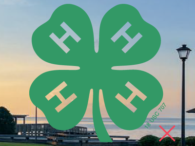 4-H Emblem that has transparent Hs, demonstrating incorrect usage.