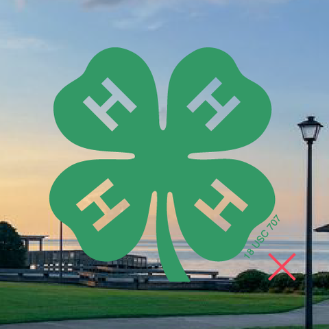 4-H Emblem that has transparent Hs, demonstrating incorrect usage.