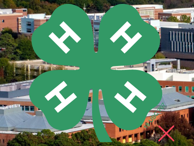 4-H Emblem displayed with low contrast against the background, making it difficult to clearly distinguish the clover and Hs.