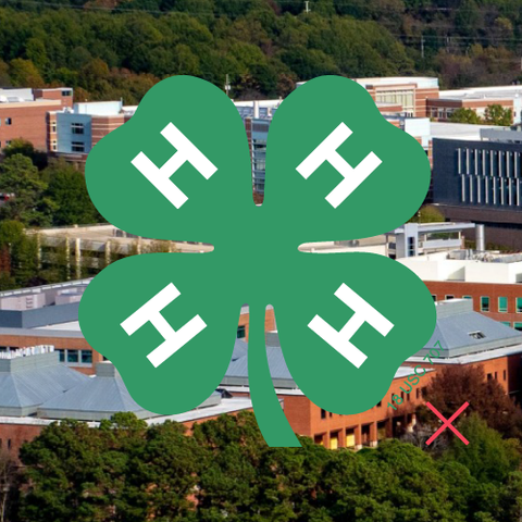 4-H Emblem displayed with low contrast against the background, making it difficult to clearly distinguish the clover and Hs.