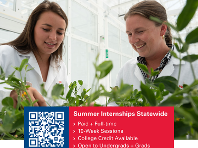 NC State Extension Internships Info Card