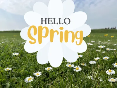 A field of daisies with "Hello Spring" in the center.