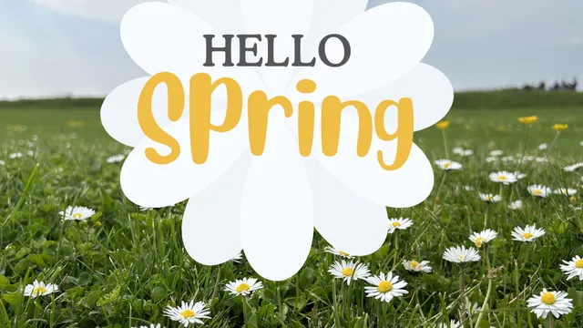 A field of daisies with "Hello Spring" in the center.