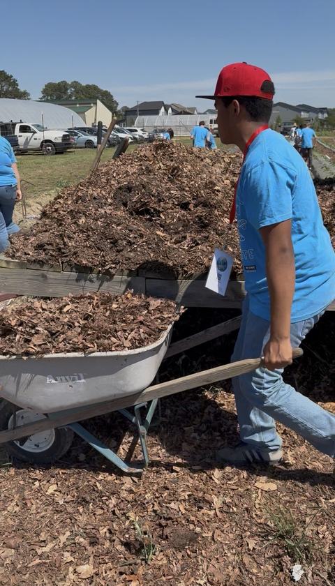 Teen youth pushing a wheelbarrow full of mulch