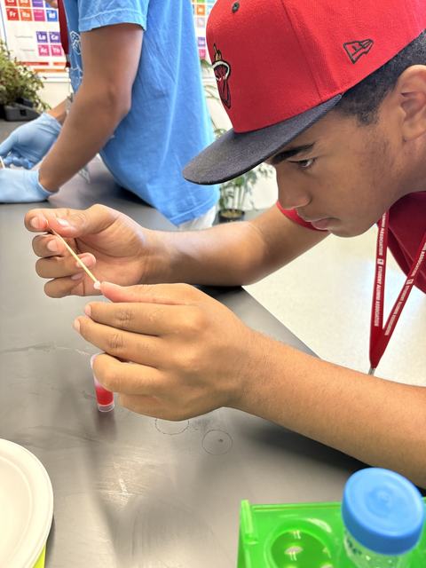 Youth student leaning over science lab table extracting pink liquid from sample